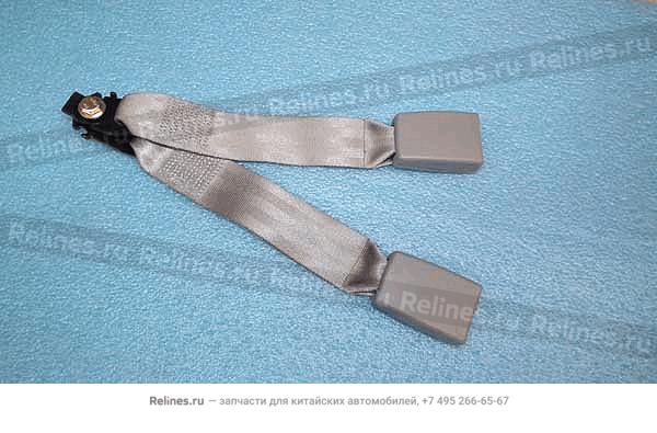Double lock buckle-safety belt