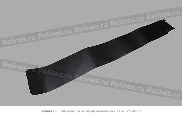 FR glass track film-rr door LH