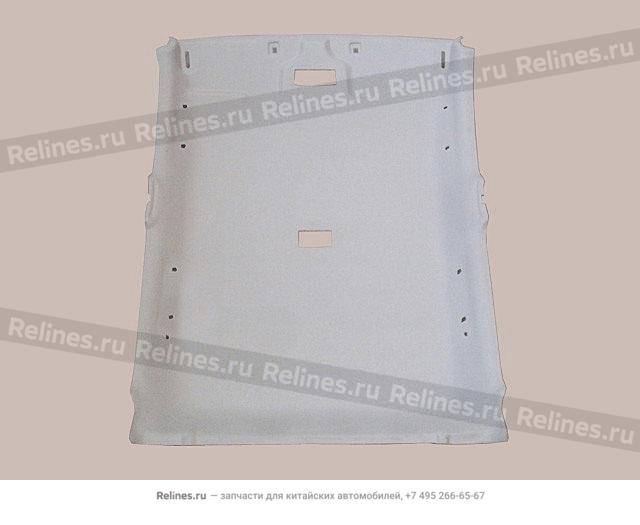 Roof liner assy