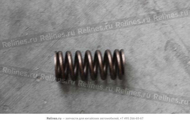 Valve spring - 101***768