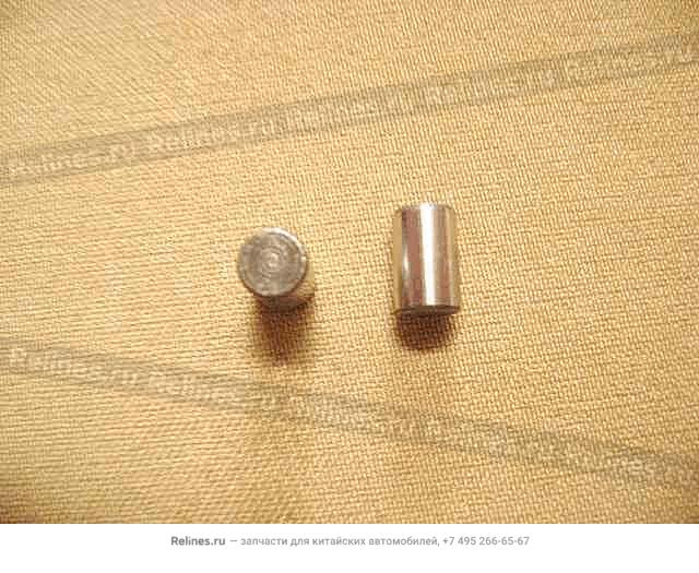 Dowel pin-driven gear - 1006***E10