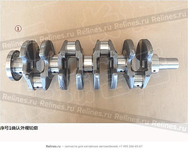 Crank shaft - 1005***ED30