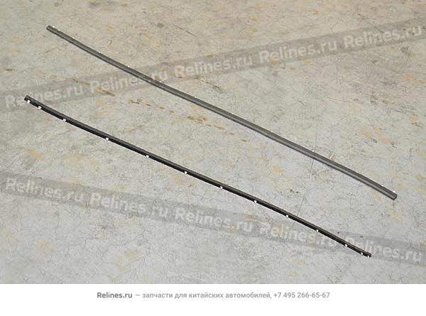 RR seal strip-hood - T21-***210