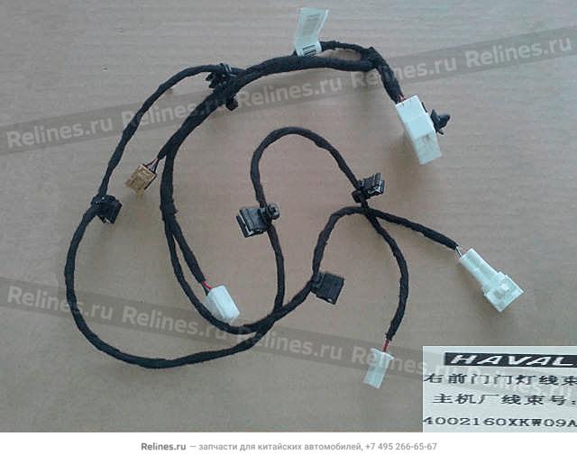 FR door lamp harness assy RH - 40021***W09A