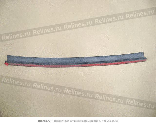 Radiator rub strip(RH/LH side 04)