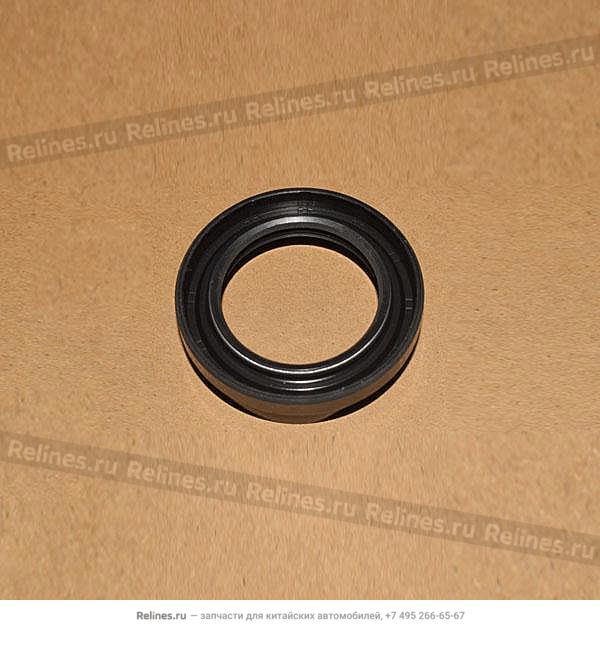 Oil seal-differential - 5T16-***324H1