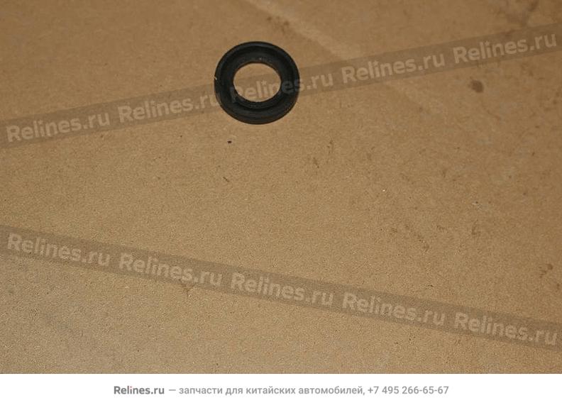 Oil seal