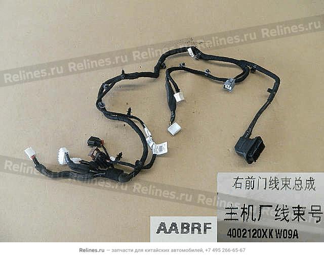 Harness assy FR door RH - 40021***W09A