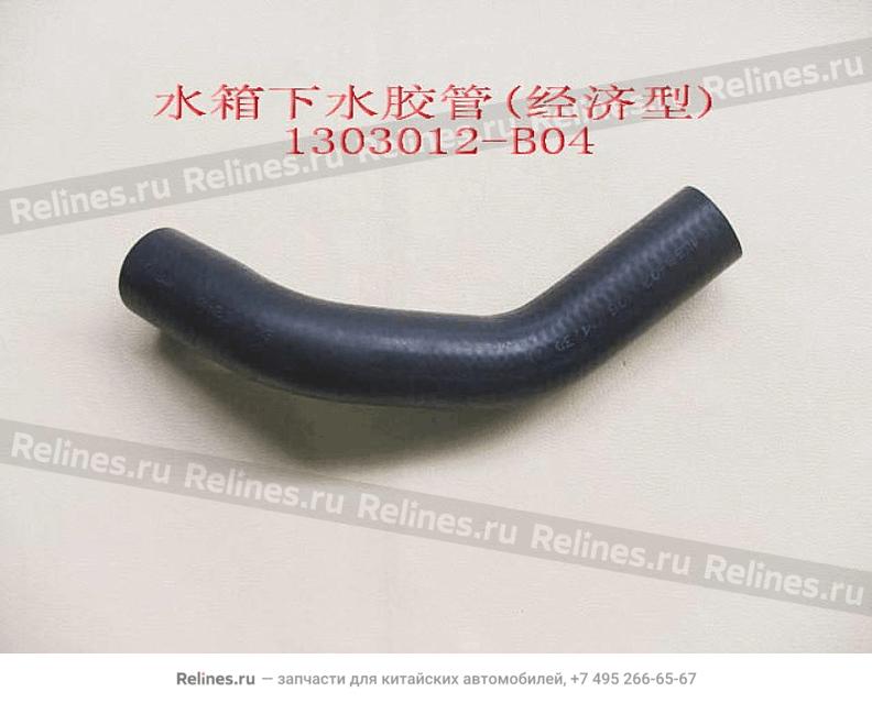 Radiator LWR hose(economic)