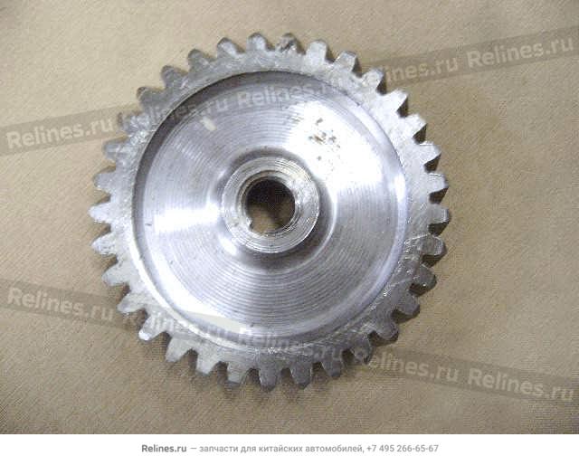 Oil pump gear
