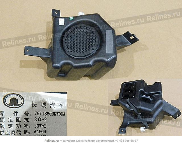 Deep bass speakers assy - 79118***W09A