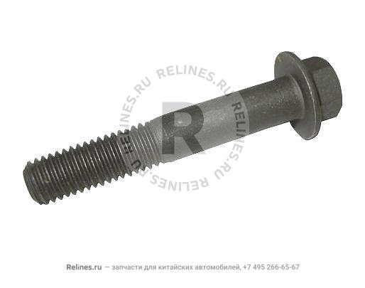 Bolt(M10*60)