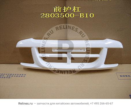 FR bumper guard assy