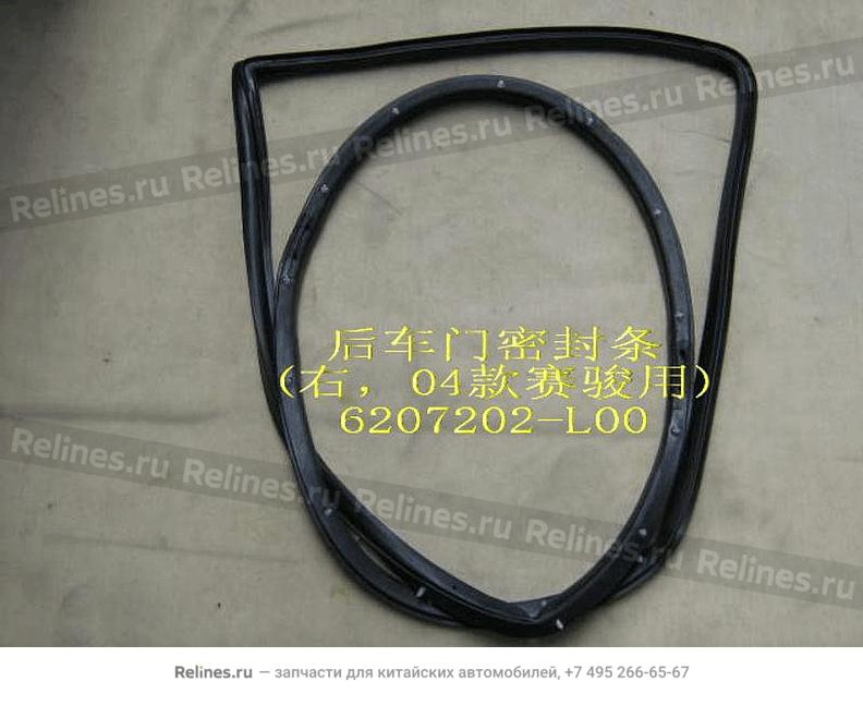 Seal strip-rr door RH(04)