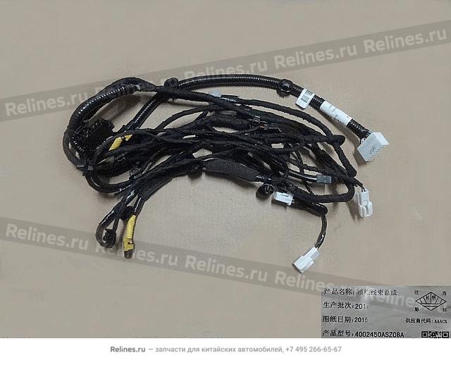 Roof harness assy - 40024***Z08A