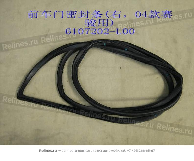 Front door sealing strips RH - 6107***L00