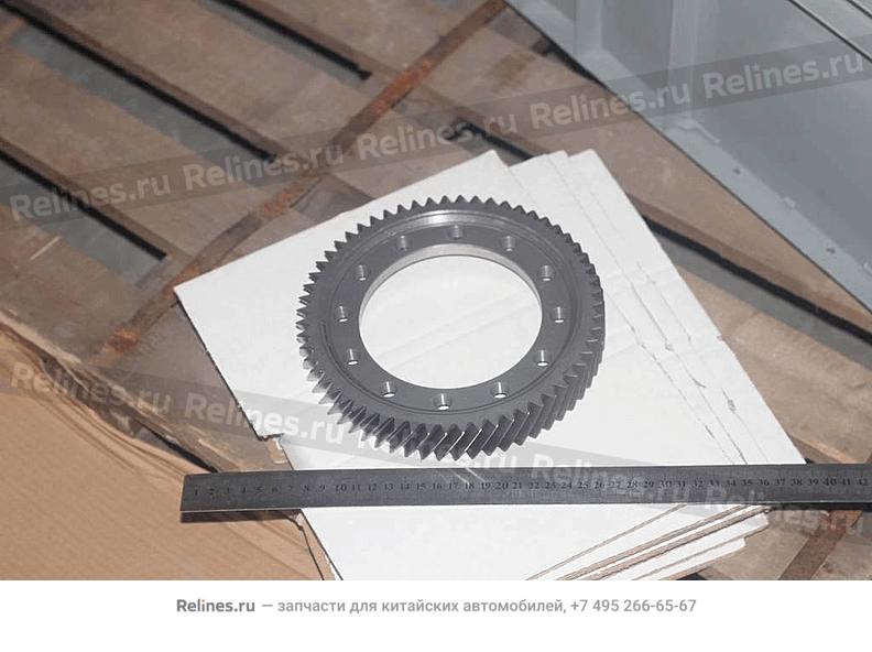 Gear-differential ring - 303***200