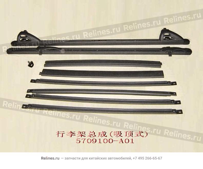 Luggage carrier assy