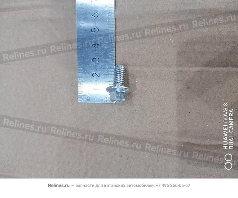 Hexagon flange bolt