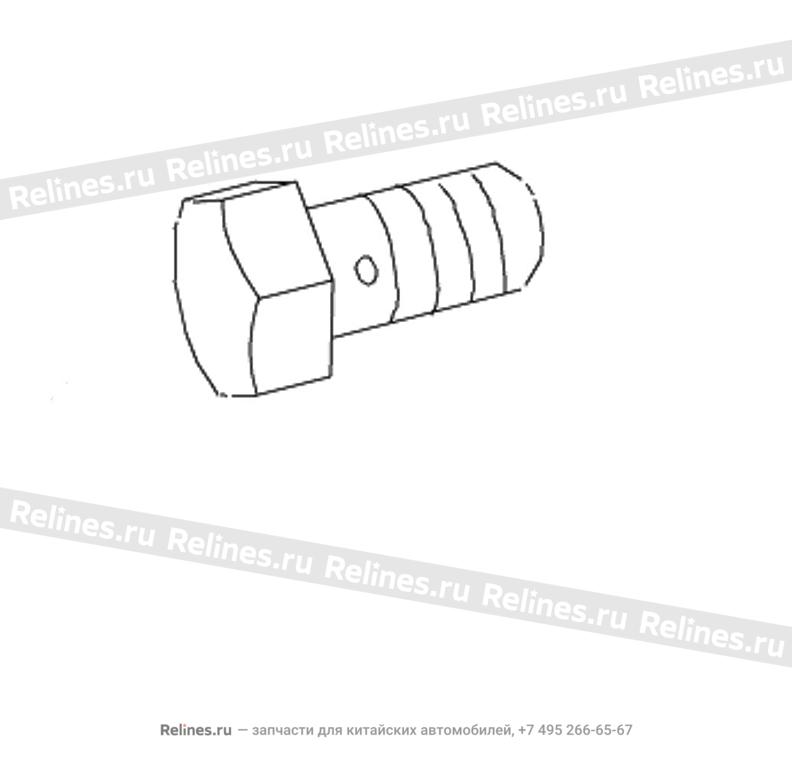 Eye bolt-hose conn