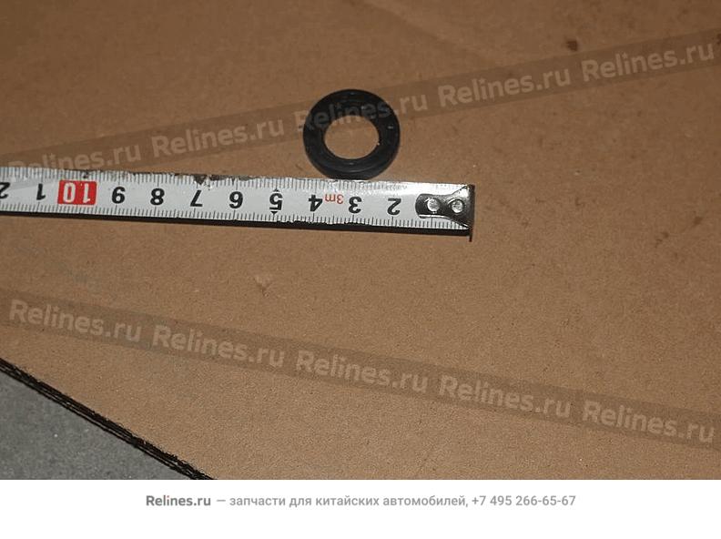 Oil seal - 302***000