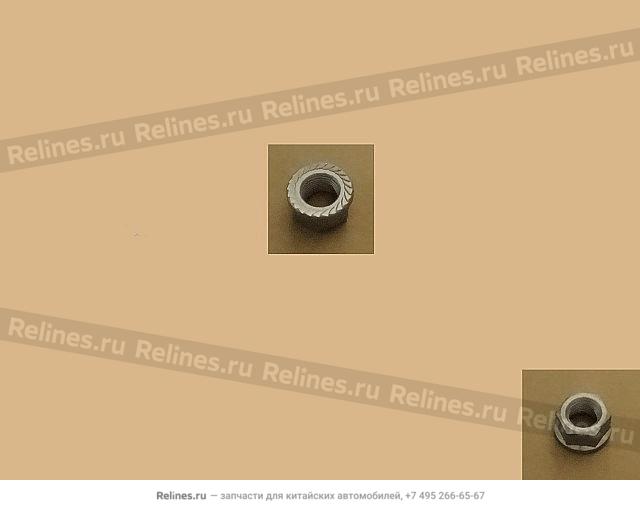 Hex flange nut - 09***09