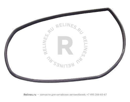 Weatherstrip - FR door LH