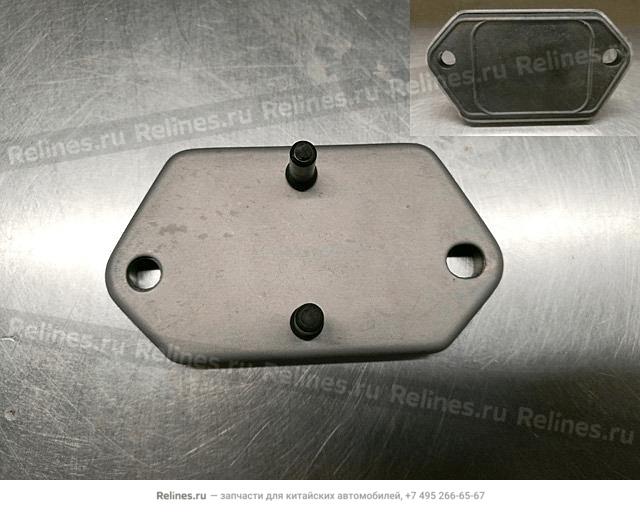 Blanking cap-hand brake plate