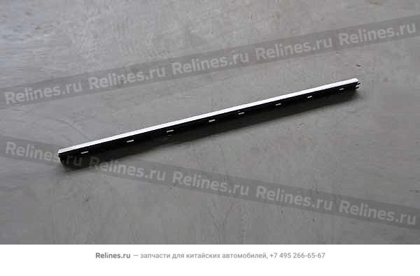 Strip - RR door RH INR