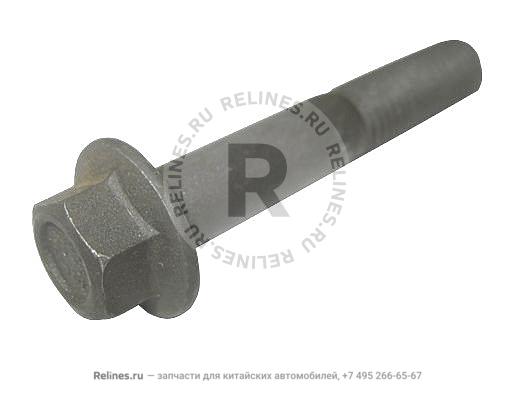 Bolt(M10*60)