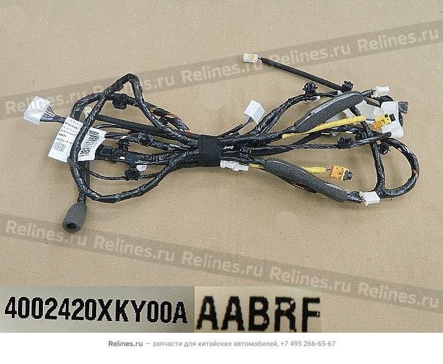 Roof harness assy - 40024***Y00A