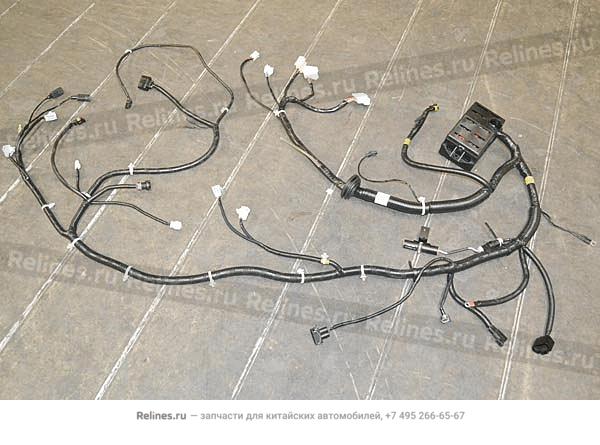 Cable assy - FR chamber