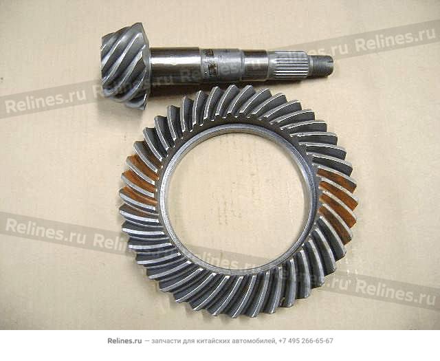 Drive&driven gear(involute spline) - 24022***16-C1