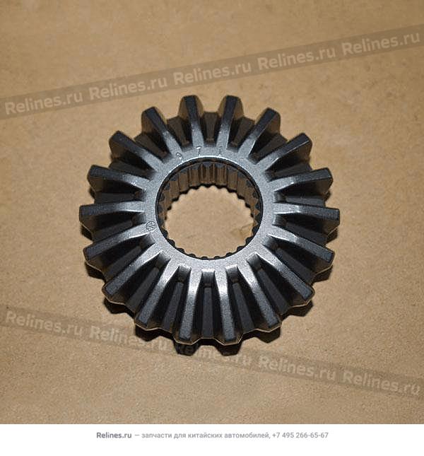 Pinion gear