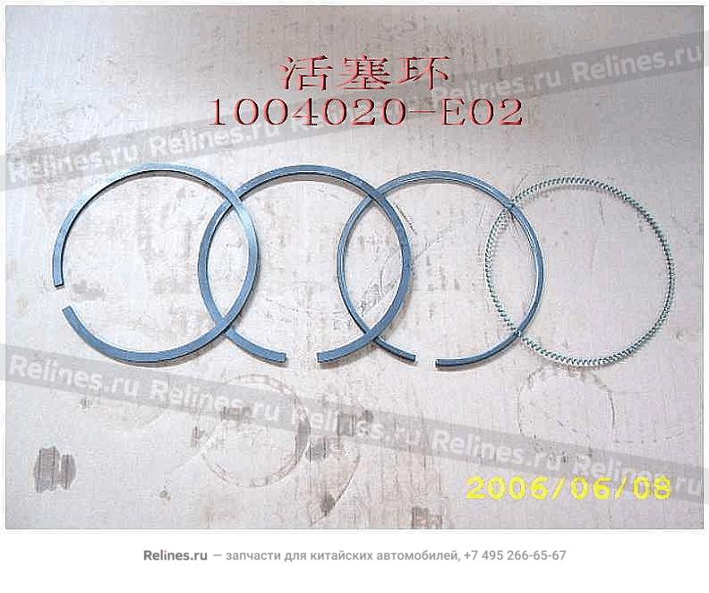 Piston ring kit - 1004***E02
