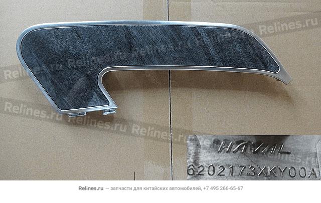 RR door LWR guard panel trim plate assy, - 62021***Y00A