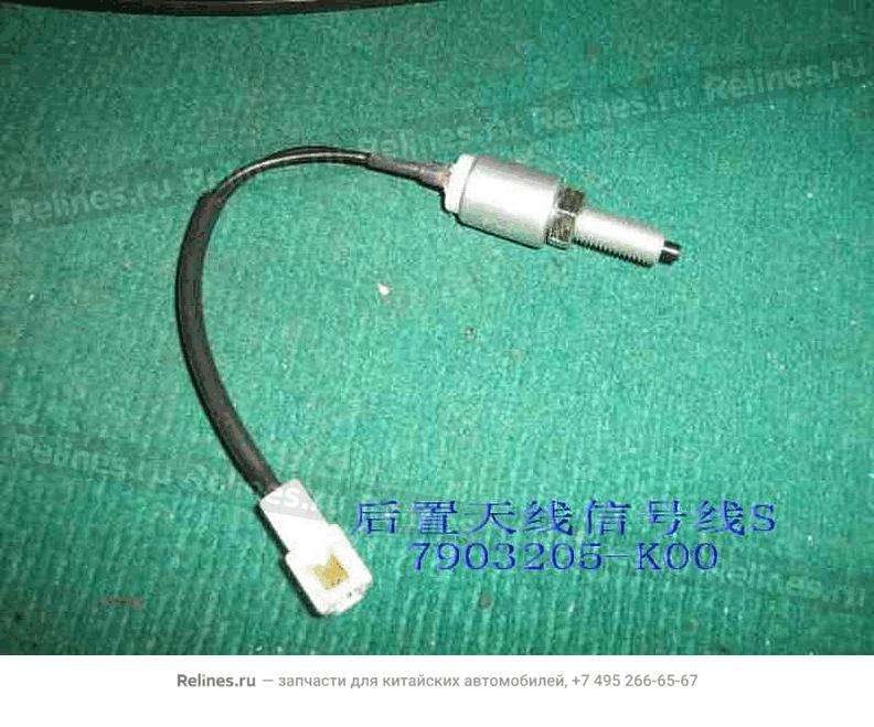 Rear antena signal wire s