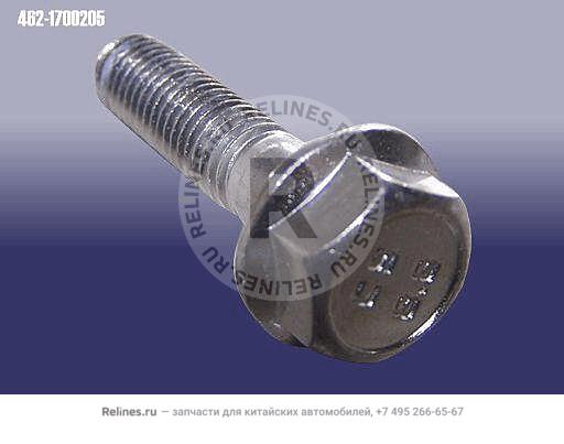 Screw - 462-***205