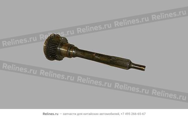Input shaft