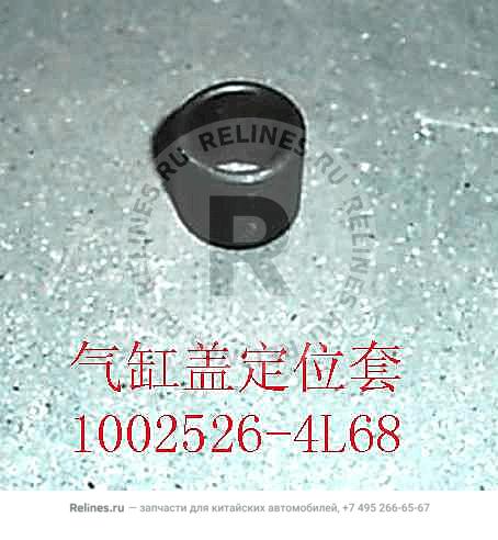 Cylinder head orientation sleeve - 1002***4L68