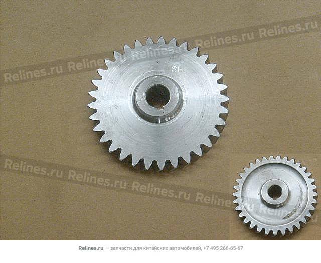 Oil pump gear