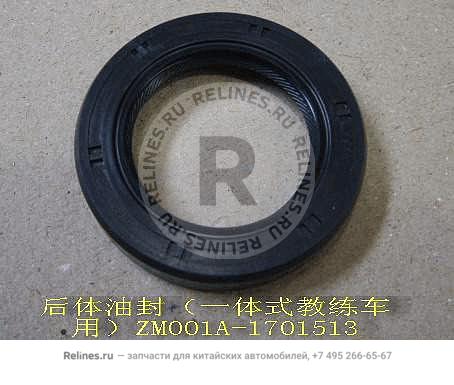 Oil seal RR body(instrustion car)