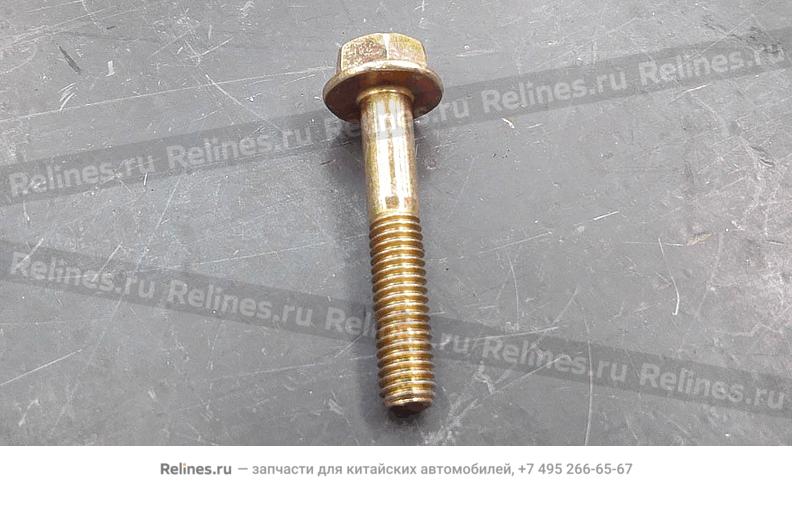 Throttle bolt