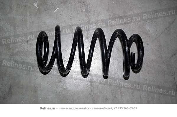 RR coil spring