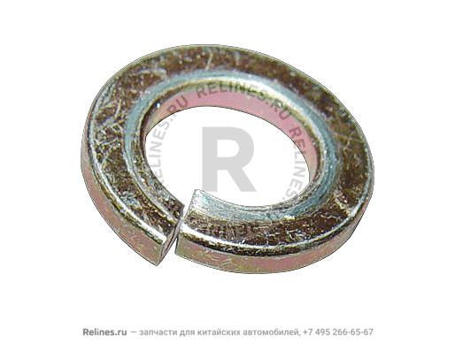 Gasket spring(10)