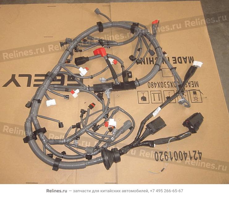 Assy,engine wire harness - 701***100