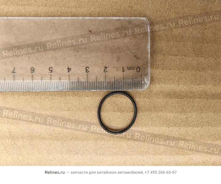 Sealing ring - 304***100