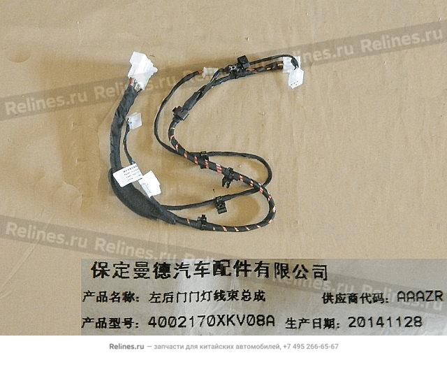 RR door lamp harness assy LH - 40021***V08A