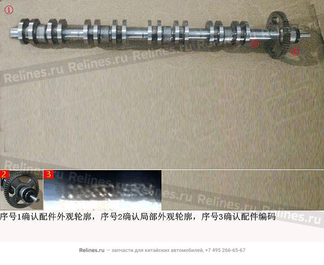 Eccentric shaft assembly