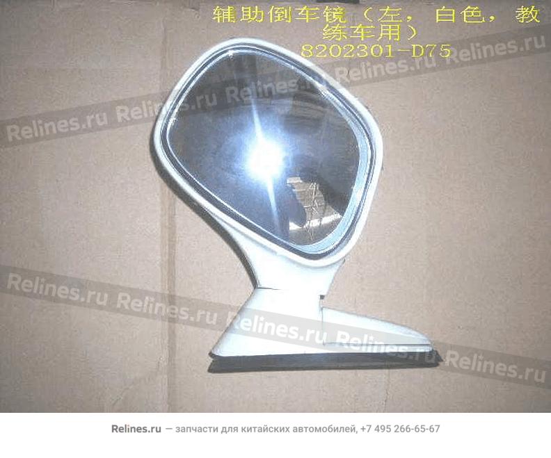 Auxiliary mirror LH - 8202***D75